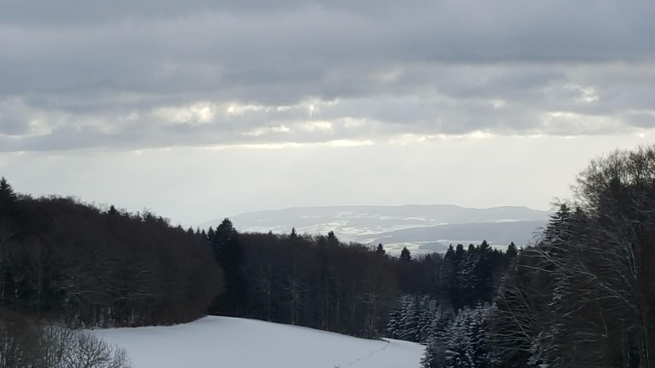 Gasthof Zum Hirschen Hotel Strittmatt Bagian luar foto